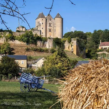 Petite Maison En Pierre Au Coeur Du Perigord Noir Proche De Sarlat Et Rocamadour Holiday home