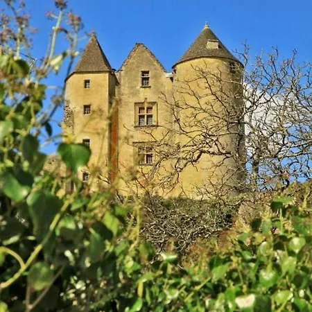 Petite Maison En Pierre Au Coeur Du Perigord Noir Proche De Sarlat Et Rocamadour Holiday home Salignac Eyvigues